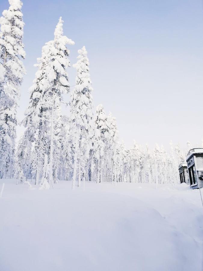 Levi Sky Igloo With Private Sauna And Hot Tub Εξωτερικό φωτογραφία